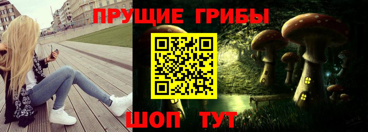 Галлюциногенные грибы Psilocybe Корсаков