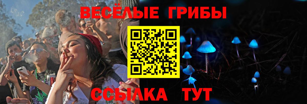Галлюциногенные грибы мицелий  Вход с VPN  Корсаков 