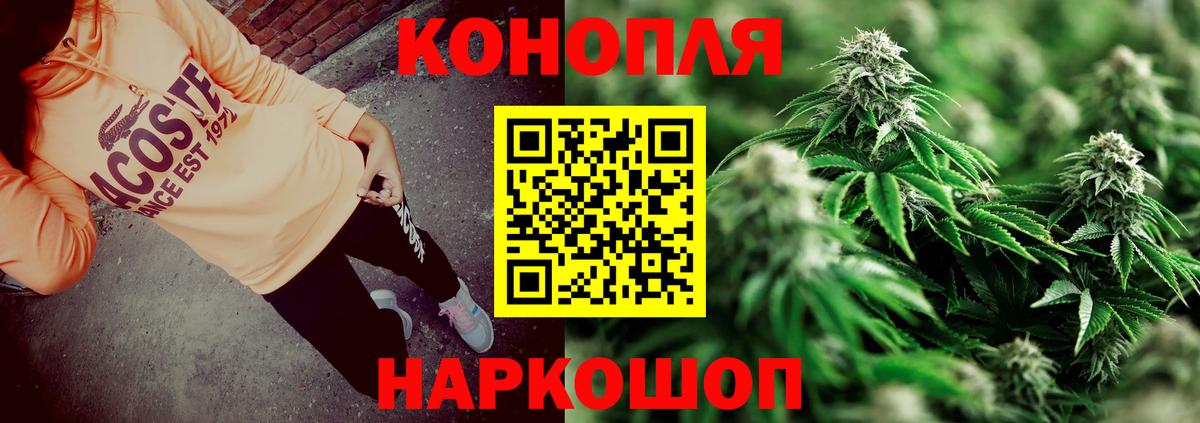 Канабис семена Корсаков